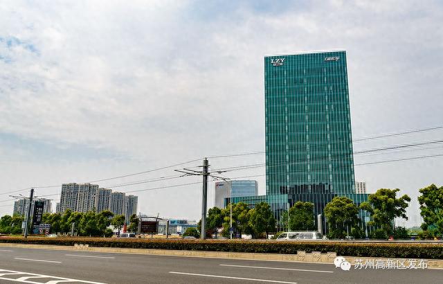 高举党建一面“旗”,激活发展一盘“棋”!路之遥以党建引领企业高质量发展